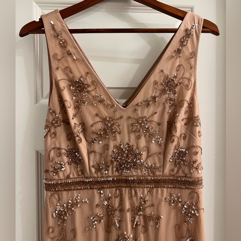 Adrianna Papell BLUSH Evening gown